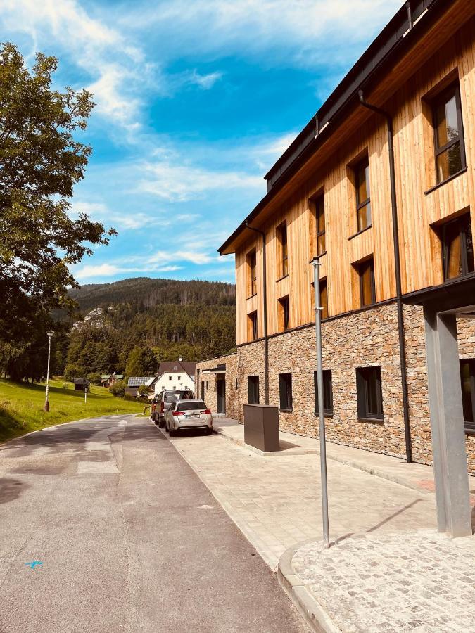 Stylovy Apartman Ski&bike, * Janske Lazne